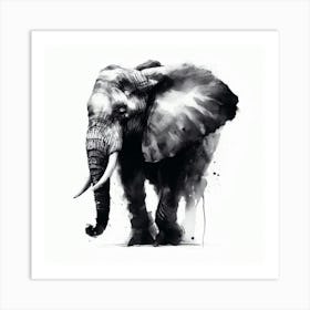 Elephant Canvas Print 2 Art Print