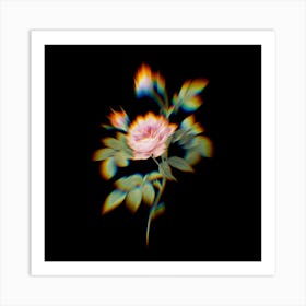 Prism Shift Pink Rose Turbine Botanical Illustration on Black Art Print