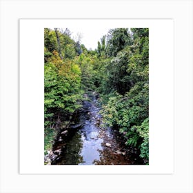 French River Art Print