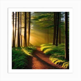 Path Through The Forest 16 Art Print