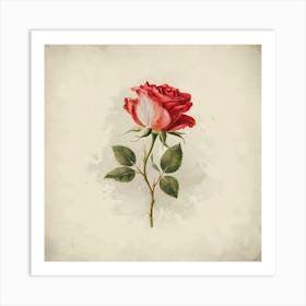 Single Rose 3 Art Print