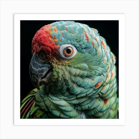 Parrot 23 Art Print