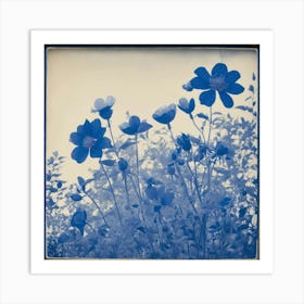 Flowers Photography In Style Anna Atkins (2) Art Print