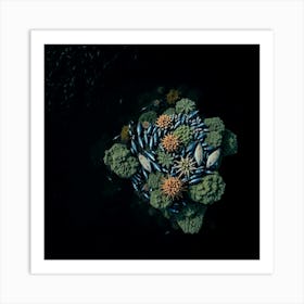 Underwater Seascape 1 Art Print