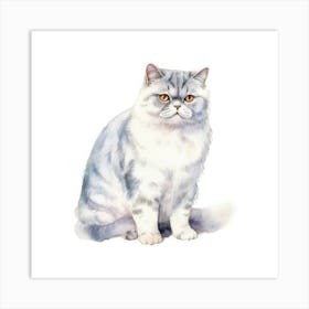 British Shorthair Persian Cat Portrait 1 Art Print