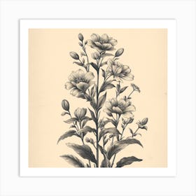 Botanical Illustration Art Print