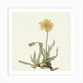 Dandelion 1 Art Print