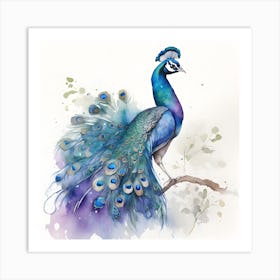 Peacock Watercolour 1 Art Print
