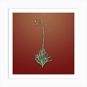 Vintage Scarlet Martagon Lily Botanical on Falu Red Pattern n.2412 Art Print