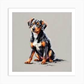 Australian Shepherd Art Print