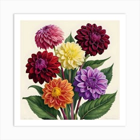 Dahlias 7 Art Print