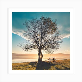 Lone Tree At Sunset Art Print