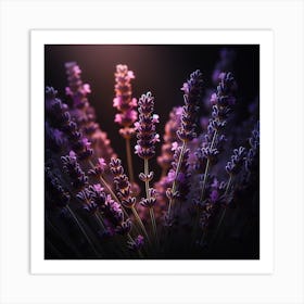 Lavender Flowers In The Dark Art Print