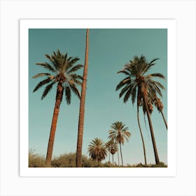 Default Palm Trees In Art Print 0 Art Print