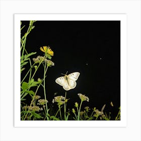 White Moth 2 Art Print