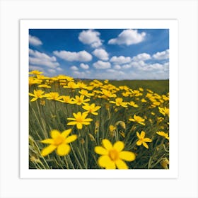 Yellow Flowers In A Field 7 Art Print