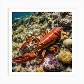 Red Lobster On Coral Reef 1 Art Print