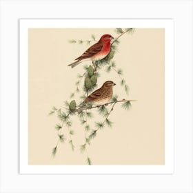 Red-Winged Blackbird Art Print