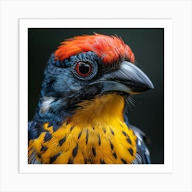 Colorful Bird 21 Art Print