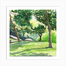 Trees In The Park Art Print