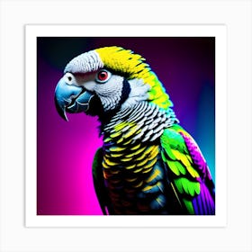 Colorful Parrot Art Print