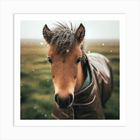 Horse In The Rain Art Print