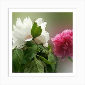 Japanese Peony Art Print