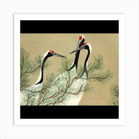 Cranes In A Pine Tree Art Print