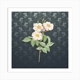 Vintage Rose of Castile Botanical on Slate Gray Pattern n.2443 Art Print