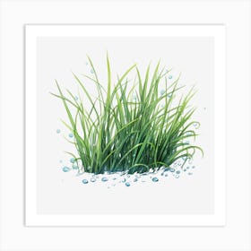 Water Drops On Grass Art Print