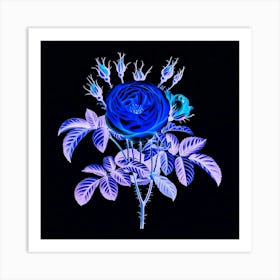 Blue Rose Art Print