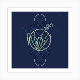 Vintage Dutch Hyacinth Botanical with Geometric Line Motif and Dot Pattern n.0006 Art Print