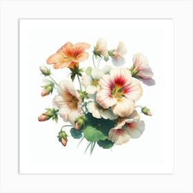 Flowers of Nasturtium 1 Art Print