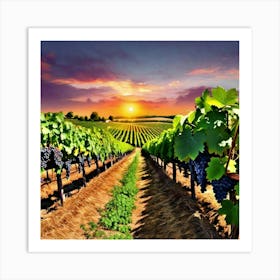 Sunset In The Vineyard 5 Art Print