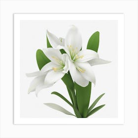 White Lily Art Print