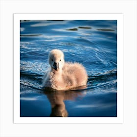 Firefly Adorable Fluffy Cygnet Swimming In Tranquil Lake 74835 (2) Art Print