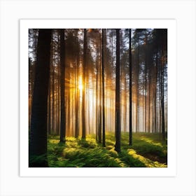 Sunrise In The Forest 14 Art Print