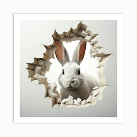 Rabbit Through A Hole 2 Art Print