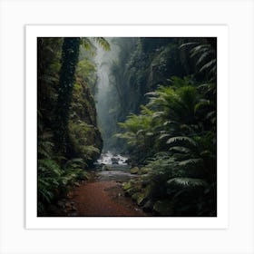 Ferns In The Rainforest Art Print