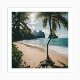 Beach - Beach Stock Videos & Royalty-Free Footage 1 Art Print