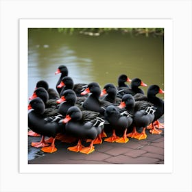 Bandada De Patos Negros Art Print