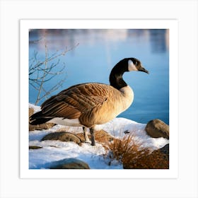 Firefly Canadian Goose Resting By The Winter Lake 57546 (2) Art Print