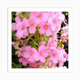 Pink Flowers 1 Art Print