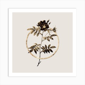 Gold Ring Rosa Redutea Glauca Glitter Botanical Illustration n.0235 Art Print