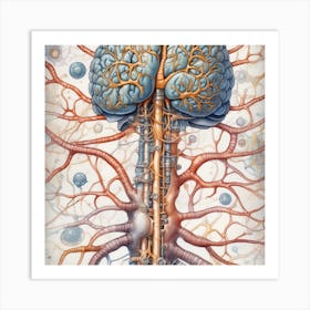 Brain And Nervous System 8 Art Print