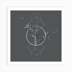 Vintage Almond Tree Flower Botanical with Line Motif and Dot Pattern in Ghost Gray Art Print