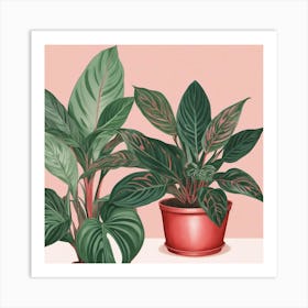 Pink And Red Plant Illustration Chinese Evergreen Art print 2 Art Print