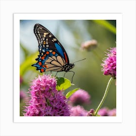 Butterfly On Purple Flower Art Print