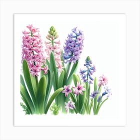 Hyacinths 5 Art Print