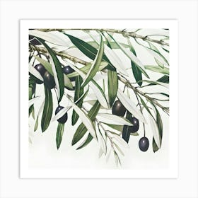 Olive Branch 2 Art Print